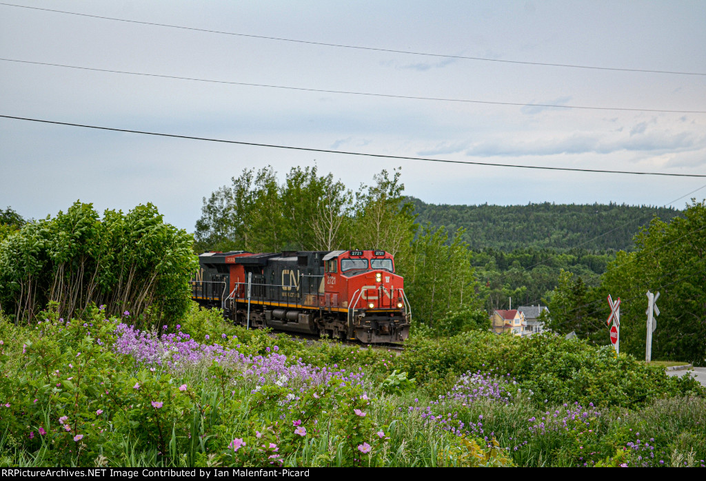 2721 leads CN 402 at Rivière-Hâtée